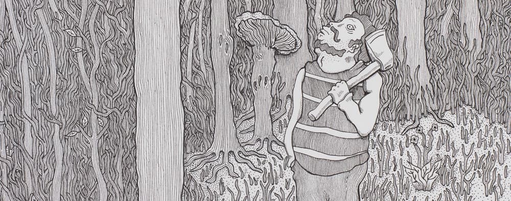 Shop hero image lumberjack